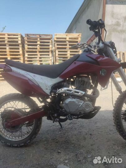 Racer 200xzt