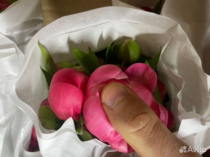 Букет цветов пионы 15/25/51 Пионы доставка 24/7