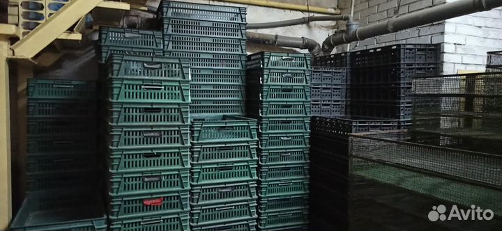 Инкубаторная станция по выводу суточной птицы