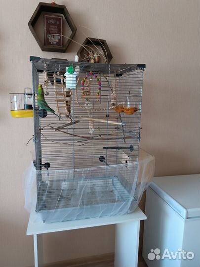 Клетка для волнистого попугая