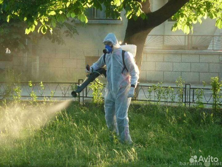 Дезинфекция, уничтожение клопов, тараканов,ос