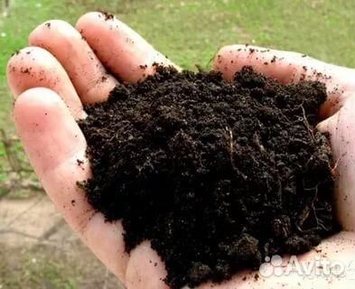 Чернозём лучший в Ижевске