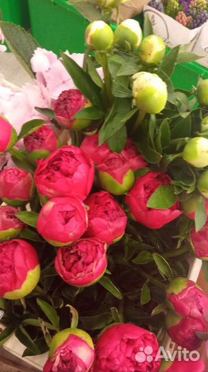 Ночной продавец флорист