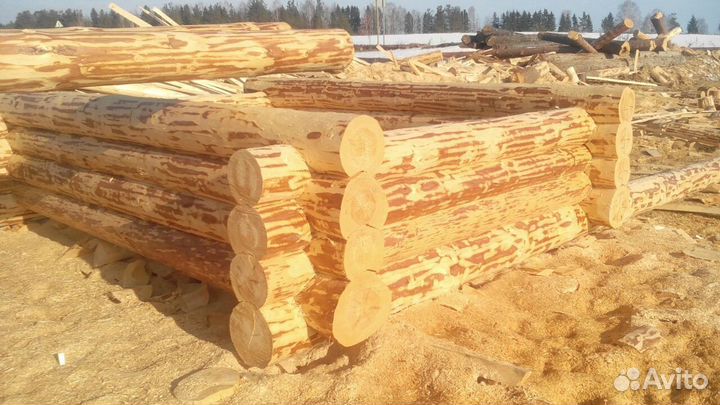 Сруб дома баня из зимнего леса