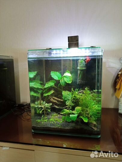 Аквариум