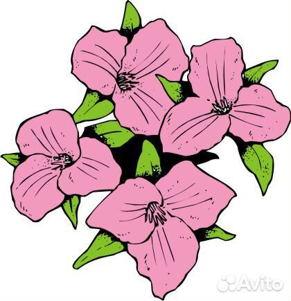 Шаблоны для термопечати на сувенирной продукции