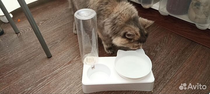 Поильник для кошек