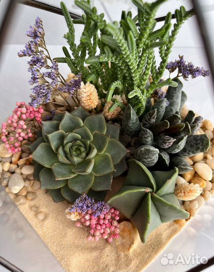 Флорариум Лотос