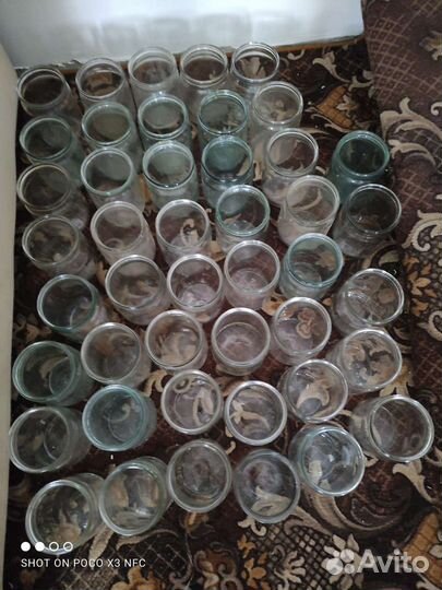 Стеклянные банки 0 5 л