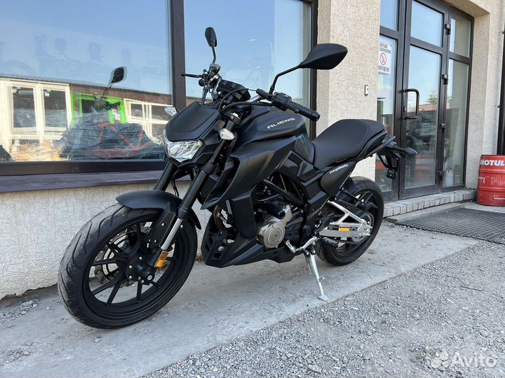 Regulmoto Alien Monster 300