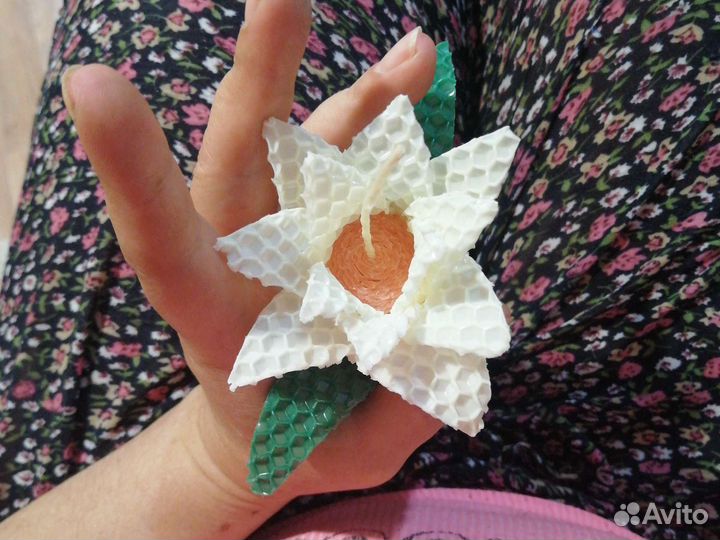 Выездной мастер-класс 