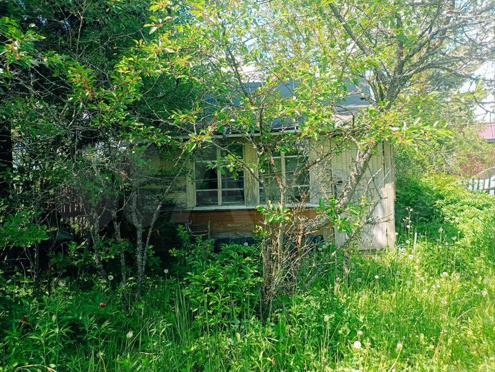 Участок 5,1 сот. (СНТ, ДНП)