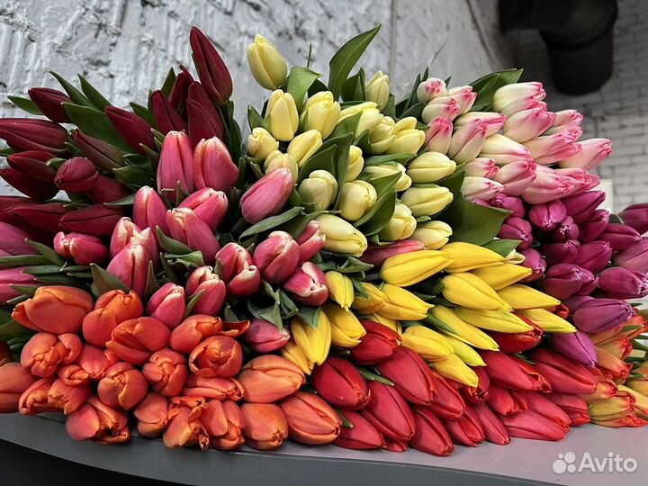 Тюльпаны оптом на 8 марта