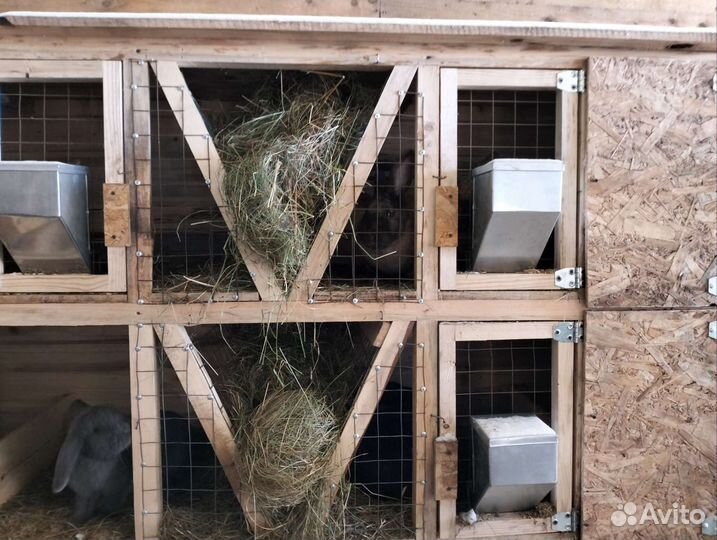 Клетки для кроликов