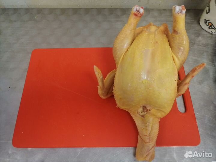 Мясо курица от производителя