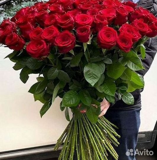Высокие розы Гигантские розы Доставка цветов