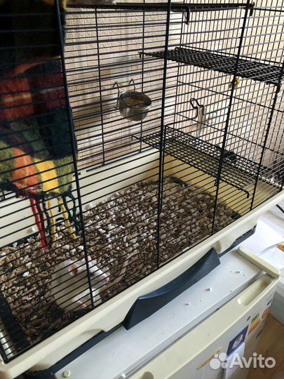 Клетка большая для птиц и грызунов