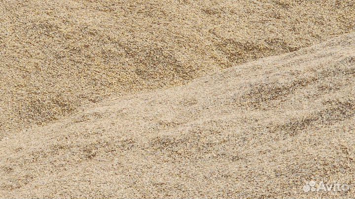 Зерноотходы ячменя