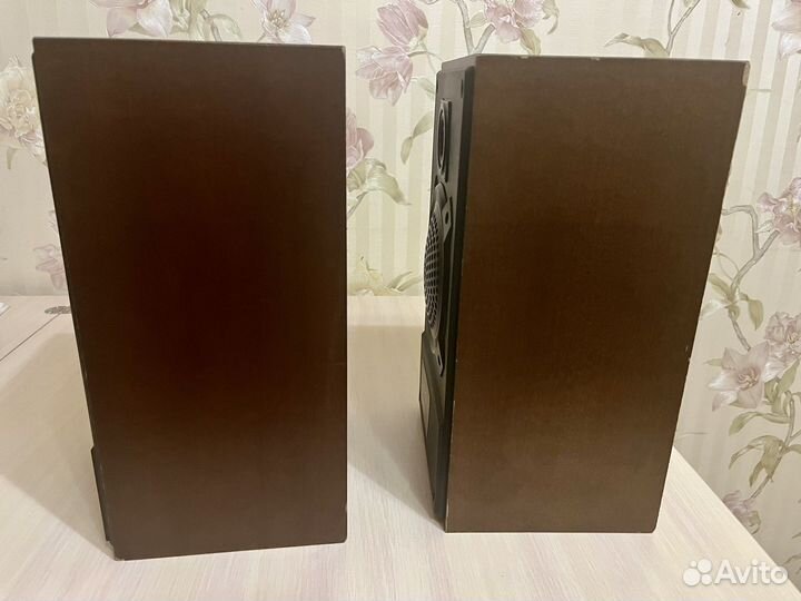 Колонки Радиотехника S-30А