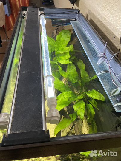 Готовый биотопный аквариум 200л