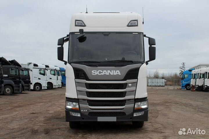 Scania R440 A4X2NA, 2019