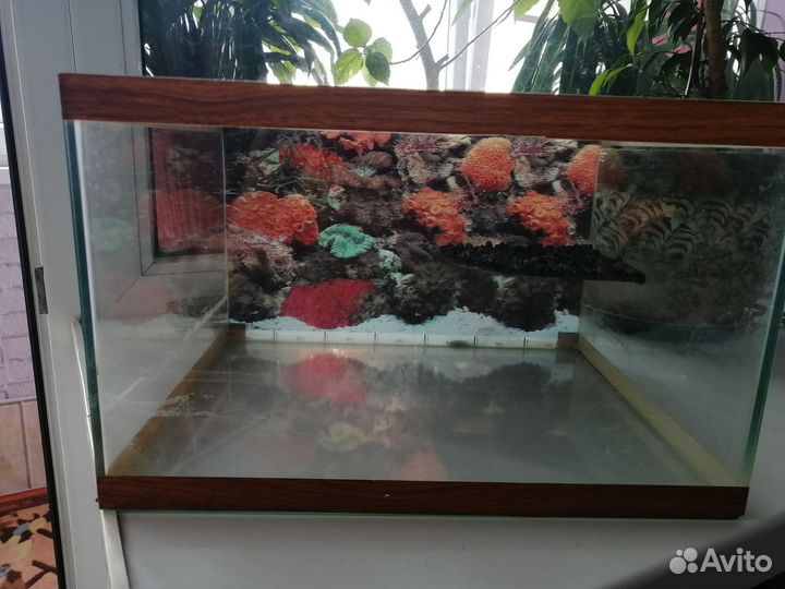 Террариум для черепахи