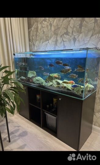 Аквариум 450л