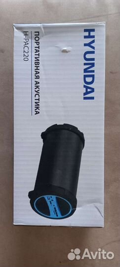 Портативная колонка Hyundai pac 220