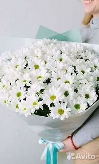 Хризантема Букет хризантем Доставка