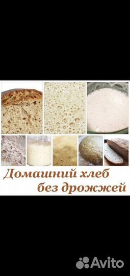 Пшеничная и ржаная закваска для хлеба