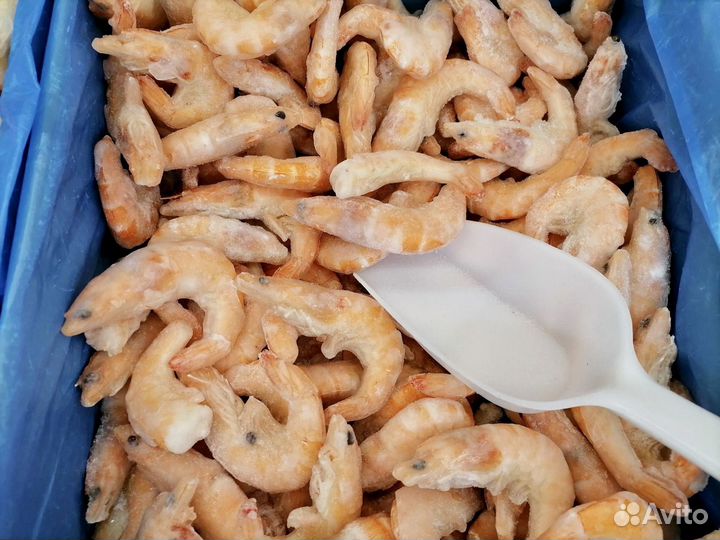 Креветки, лангустины отличного качества доставка