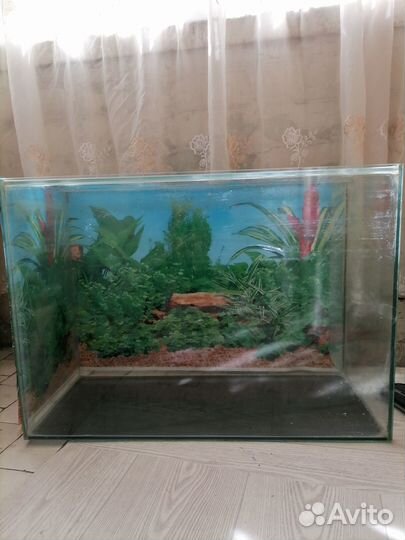 Аквариум 100 литров