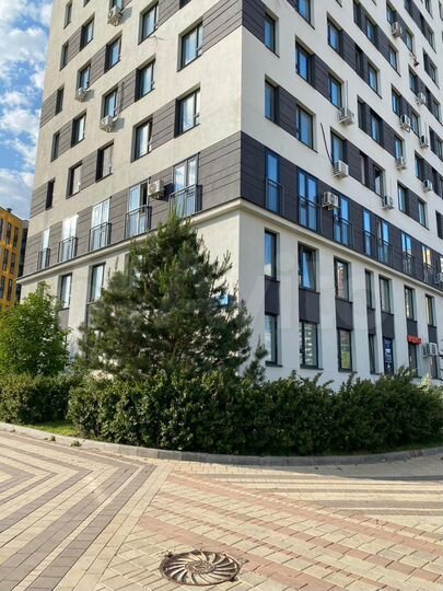 Торговая площадь, 53 м²