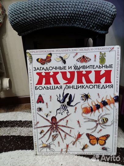 Загадочные и удивительные пауки. Энциклопедия