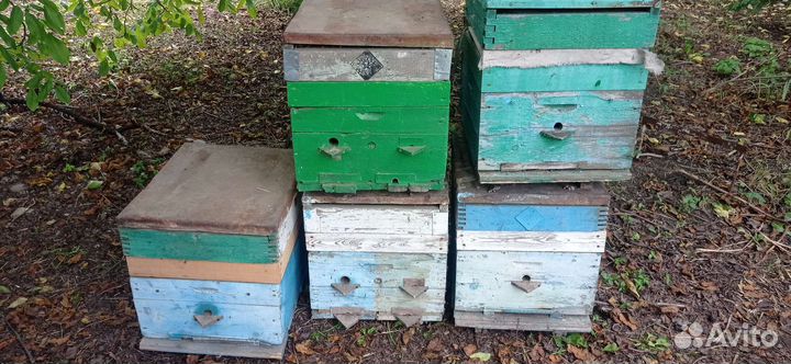 Ульи, раманосы и рамки