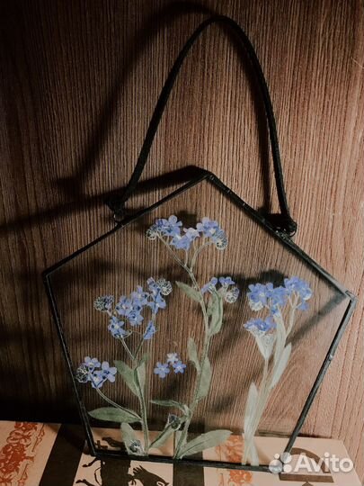 Гербарий в стекле