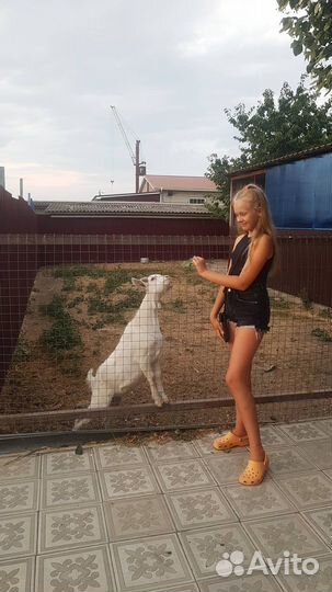 Джинсовые шорты zara