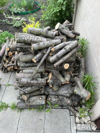 Дрова абрикос