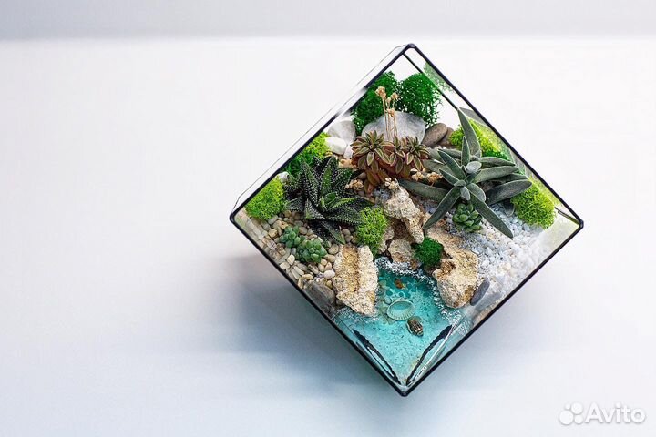 Флорариум из суккулентов
