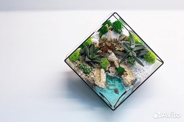 Флорариум из суккулентов