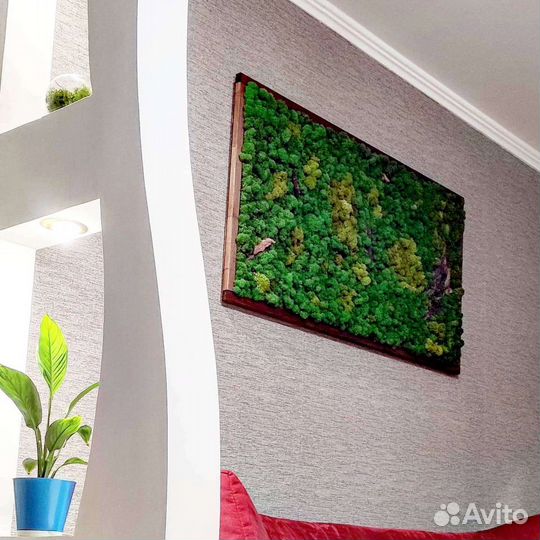 Панно из мха фитокартина фитопанно