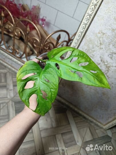 Разные мостеры