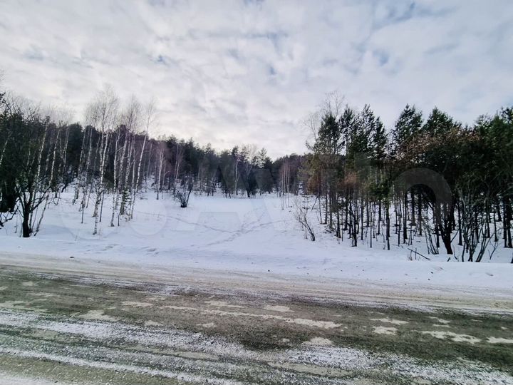 Участок 1,2 га (СНТ, ДНП)