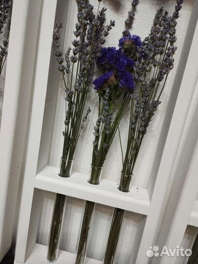 День учителя Композиции. Кашпо