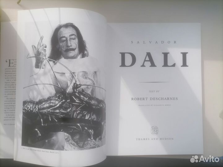 Сальвадор дали художественный альбом на англ языке