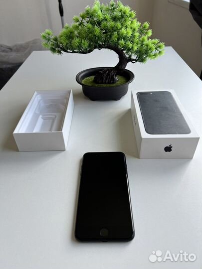iPhone 7 Plus