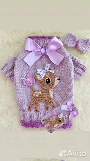 Одежда для мелких пород собак