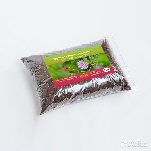 Грунт для Стыдливой Мимозы