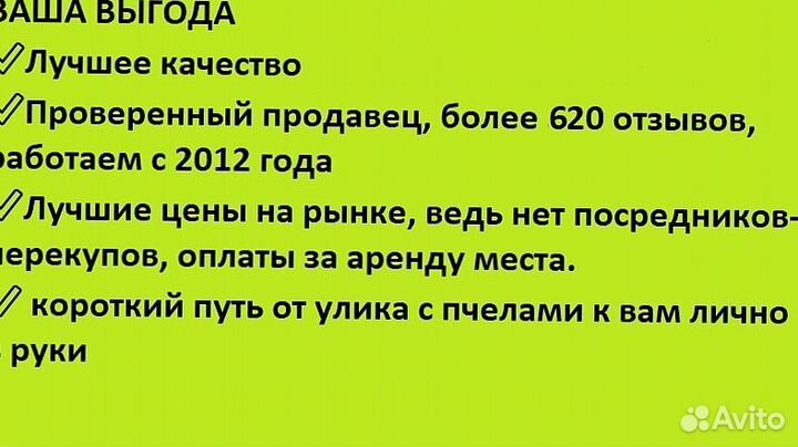 Мед 1л Каштан от пчёл, доставлю беспл