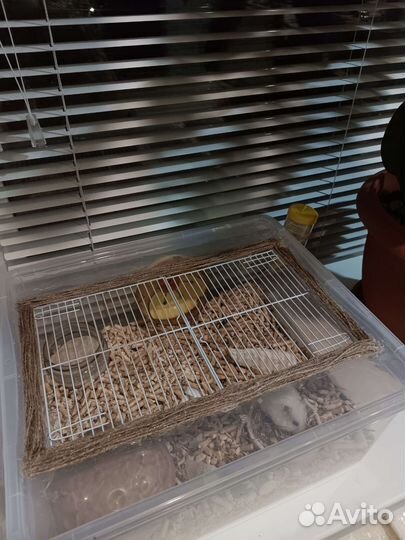 Клетка (контейнер) и аксессуары для грызунов